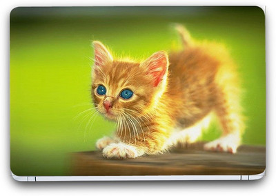 Flipkart SmartBuy Cute Cat 2 Vinyl Laptop Skin (Avery Vinyl, Matte Laminated, 14 x 9 inches) Vinyl Laptop Decal 14.1
Flipkart SmartBuy Cute Cat 2 Vinyl Laptop Skin (Avery Vinyl, Matte Laminated, 14 x 9 inches) Vinyl Laptop Decal 14.1