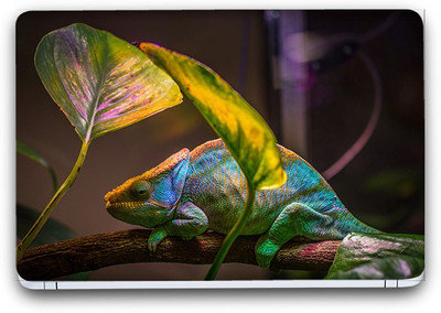 Flipkart SmartBuy Colourful Lizard Vinyl Laptop Skin (Avery Vinyl, Matte Laminated, 13 x 8.5 inches) Vinyl Laptop Decal 13.3
Flipkart SmartBuy Colourful Lizard Vinyl Laptop Skin (Avery Vinyl, Matte Laminated, 13 x 8.5 inches) Vinyl Laptop Decal 13.3