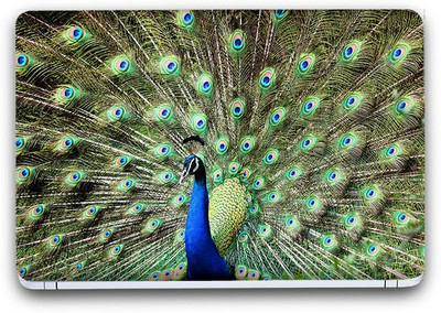 Flipkart SmartBuy Peacock In Forest 3 Vinyl Laptop Skin (Avery Vinyl, Matte Laminated, 14 x 9 inches) Vinyl Laptop Decal 14.1
Flipkart SmartBuy Peacock In Forest 3 Vinyl Laptop Skin (Avery Vinyl, Matte Laminated, 14 x 9 inches) Vinyl Laptop Decal 14.1