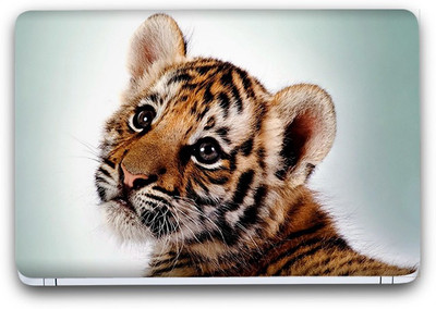 Flipkart SmartBuy Tiger Cub Vinyl Laptop Skin (3M/Avery Vinyl, Matte Laminated, 13 x 8.5 inches) Vinyl Laptop Decal 13.3
Flipkart SmartBuy Tiger Cub Vinyl Laptop Skin (3M/Avery Vinyl, Matte Laminated, 13 x 8.5 inches) Vinyl Laptop Decal 13.3