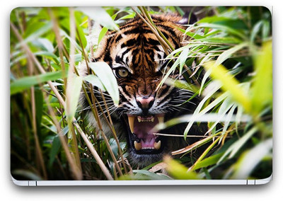 Flipkart SmartBuy Tiger Roaring Vinyl Laptop Skin (Avery Vinyl, Matte Laminated, 13 x 8.5 inches) Vinyl Laptop Decal 13.3
Flipkart SmartBuy Tiger Roaring Vinyl Laptop Skin (Avery Vinyl, Matte Laminated, 13 x 8.5 inches) Vinyl Laptop Decal 13.3