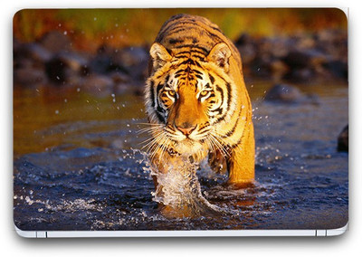 Flipkart SmartBuy Stunning Tiger 3 Vinyl Laptop Skin (3M/Avery Vinyl, Matte Laminated, 13 x 8.5 inches) Vinyl Laptop Decal 13.3
Flipkart SmartBuy Stunning Tiger 3 Vinyl Laptop Skin (3M/Avery Vinyl, Matte Laminated, 13 x 8.5 inches) Vinyl Laptop Decal 13.3