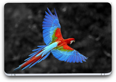 Flipkart SmartBuy Peppy Parrot 3 Vinyl Laptop Skin (Avery Vinyl, Matte Laminated, 14 x 9 inches) Vinyl Laptop Decal 14.1
Flipkart SmartBuy Peppy Parrot 3 Vinyl Laptop Skin (Avery Vinyl, Matte Laminated, 14 x 9 inches) Vinyl Laptop Decal 14.1