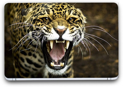Flipkart SmartBuy Leopard Roaring Vinyl Laptop Skin (Avery Vinyl, Matte Laminated, 13 x 8.5 inches) Vinyl Laptop Decal 13.3
Flipkart SmartBuy Leopard Roaring Vinyl Laptop Skin (Avery Vinyl, Matte Laminated, 13 x 8.5 inches) Vinyl Laptop Decal 13.3