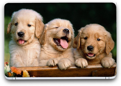 Flipkart SmartBuy Cute Puppies Vinyl Laptop Skin (3M/Avery Vinyl, Matte Laminated, 14 x 9 inches) Vinyl Laptop Decal 14.1
Flipkart SmartBuy Cute Puppies Vinyl Laptop Skin (3M/Avery Vinyl, Matte Laminated, 14 x 9 inches) Vinyl Laptop Decal 14.1
