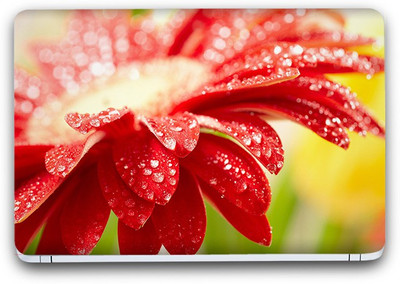 Flipkart SmartBuy Dews On Flower Vinyl Laptop Skin (3M/Avery Vinyl, Matte Laminated, 15 x 10 inches) Vinyl Laptop Decal 15.6
Flipkart SmartBuy Dews On Flower Vinyl Laptop Skin (3M/Avery Vinyl, Matte Laminated, 15 x 10 inches) Vinyl Laptop Decal 15.6