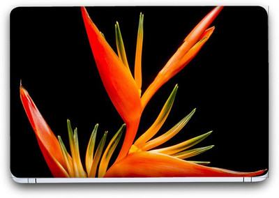 Flipkart SmartBuy Stunning Flower 8 Vinyl Laptop Skin (3M/Avery Vinyl, Matte Laminated, 13 x 8.5 inches) Vinyl Laptop Decal 13.3
Flipkart SmartBuy Stunning Flower 8 Vinyl Laptop Skin (3M/Avery Vinyl, Matte Laminated, 13 x 8.5 inches) Vinyl Laptop Decal 13.3