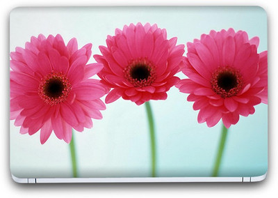 Flipkart SmartBuy Beautiful Flowers 9 Vinyl Laptop Skin (3M/Avery Vinyl, Matte Laminated, 13 x 8.5 inches) Vinyl Laptop Decal 13.3
Flipkart SmartBuy Beautiful Flowers 9 Vinyl Laptop Skin (3M/Avery Vinyl, Matte Laminated, 13 x 8.5 inches) Vinyl Laptop Decal 13.3