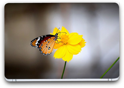 Flipkart SmartBuy Yellow Flower 4 Vinyl Laptop Skin (3M/Avery Vinyl, Matte Laminated, 15 x 10 inches) Vinyl Laptop Decal 15.6
Flipkart SmartBuy Yellow Flower 4 Vinyl Laptop Skin (3M/Avery Vinyl, Matte Laminated, 15 x 10 inches) Vinyl Laptop Decal 15.6