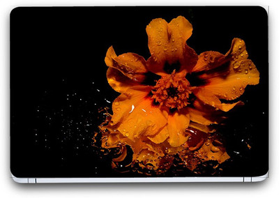 Flipkart SmartBuy Stunning Flower 4 Vinyl Laptop Skin (3M/Avery Vinyl, Matte Laminated, 14 x 9 inches) Vinyl Laptop Decal 14.1
Flipkart SmartBuy Stunning Flower 4 Vinyl Laptop Skin (3M/Avery Vinyl, Matte Laminated, 14 x 9 inches) Vinyl Laptop Decal 14.1