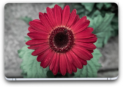 Flipkart SmartBuy Stunning Flower 10 Vinyl Laptop Skin (3M/Avery Vinyl, Matte Laminated, 13 x 8.5 inches) Vinyl Laptop Decal 13.3
Flipkart SmartBuy Stunning Flower 10 Vinyl Laptop Skin (3M/Avery Vinyl, Matte Laminated, 13 x 8.5 inches) Vinyl Laptop Decal 13.3