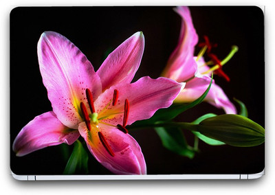 Flipkart SmartBuy Stunning Flower 5 Vinyl Laptop Skin (3M/Avery Vinyl, Matte Laminated, 15 x 10 inches) Vinyl Laptop Decal 15.6
Flipkart SmartBuy Stunning Flower 5 Vinyl Laptop Skin (3M/Avery Vinyl, Matte Laminated, 15 x 10 inches) Vinyl Laptop Decal 15.6