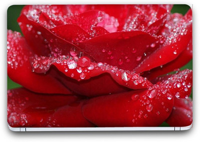 Flipkart SmartBuy Dews On Flower 4 Vinyl Laptop Skin (3M/Avery Vinyl, Matte Laminated, 13 x 8.5 inches) Vinyl Laptop Decal 13.3
Flipkart SmartBuy Dews On Flower 4 Vinyl Laptop Skin (3M/Avery Vinyl, Matte Laminated, 13 x 8.5 inches) Vinyl Laptop Decal 13.3