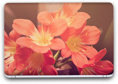 Flipkart SmartBuy Beautiful Flowers 8 Vinyl Laptop Skin (3M/Avery Vinyl, Matte Laminated, 15 x 10 inches) Vinyl Laptop Decal 15.6
Flipkart SmartBuy Beautiful Flowers 8 Vinyl Laptop Skin (3M/Avery Vinyl, Matte Laminated, 15 x 10 inches) Vinyl Laptop Decal 15.6