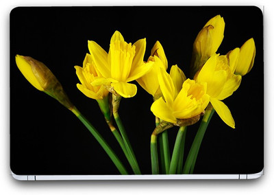 Flipkart SmartBuy Stunning Flower 7 Vinyl Laptop Skin (3M/Avery Vinyl, Matte Laminated, 14 x 9 inches) Vinyl Laptop Decal 14.1