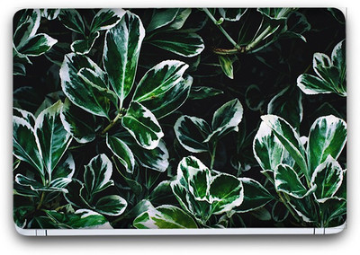 Flipkart SmartBuy Hues In Nature 7 Vinyl Laptop Skin SFSB(3M/Avery Vinyl, Matte Laminated, 13 x 8.5 inches) Vinyl Laptop Decal 13.3
Flipkart SmartBuy Hues In Nature 7 Vinyl Laptop Skin SFSB(3M/Avery Vinyl, Matte Laminated, 13 x 8.5 inches) Vinyl Laptop Decal 13.3