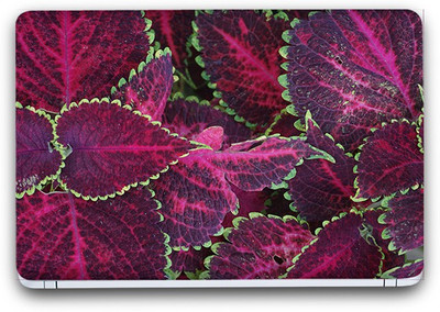 Flipkart SmartBuy Hues In Nature 6 Vinyl Laptop Skin (3M/Avery Vinyl, Matte Laminated, 15 x 10 inches) Vinyl Laptop Decal 15.6
Flipkart SmartBuy Hues In Nature 6 Vinyl Laptop Skin (3M/Avery Vinyl, Matte Laminated, 15 x 10 inches) Vinyl Laptop Decal 15.6
