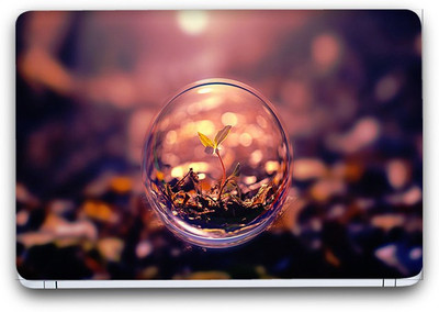 Flipkart SmartBuy Plant Life Vinyl Laptop Skin SFSB(3M/Avery Vinyl, Matte Laminated, 13 x 8.5 inches) Vinyl Laptop Decal 13.3
Flipkart SmartBuy Plant Life Vinyl Laptop Skin SFSB(3M/Avery Vinyl, Matte Laminated, 13 x 8.5 inches) Vinyl Laptop Decal 13.3