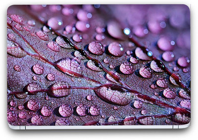 Flipkart SmartBuy Dews On Leaves Vinyl Laptop Skin SFSB(3M/Avery Vinyl, Matte Laminated, 14 x 9 inches) Vinyl Laptop Decal 14.1
Flipkart SmartBuy Dews On Leaves Vinyl Laptop Skin SFSB(3M/Avery Vinyl, Matte Laminated, 14 x 9 inches) Vinyl Laptop Decal 14.1