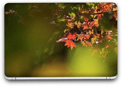 Flipkart SmartBuy Beautiful Greenery 2 Vinyl Laptop Skin (3M/Avery Vinyl, Matte Laminated, 15 x 10 inches) Vinyl Laptop Decal 15.6
Flipkart SmartBuy Beautiful Greenery 2 Vinyl Laptop Skin (3M/Avery Vinyl, Matte Laminated, 15 x 10 inches) Vinyl Laptop Decal 15.6