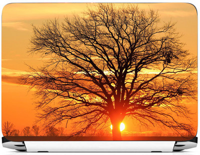 PRINTHUBS LAPTOP150 Vinyl Laptop Decal 15.6