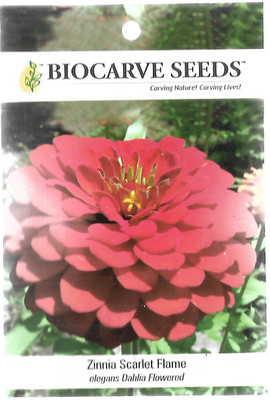 Biocarve Zinnia Seed(100 per packet)