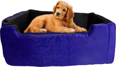 Amit Brothers AB24 M Pet Bed(Blue)