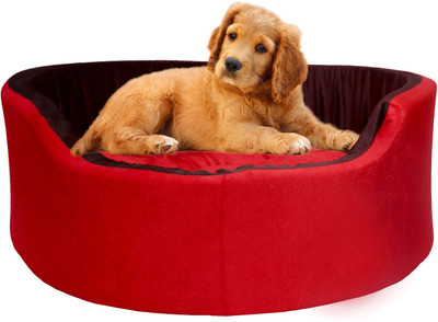 Amit Brothers AB18 M Pet Bed(Red)