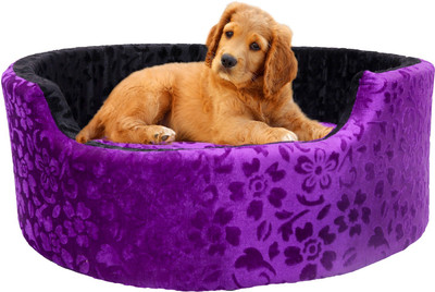 Amit Brothers AB04 M Pet Bed(Purple)