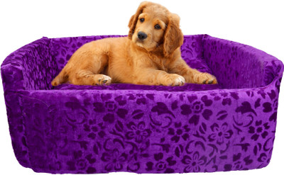 Amit Brothers AB32 M Pet Bed(Purple)