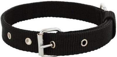 Furious3D Dog Everyday Collar(, Black