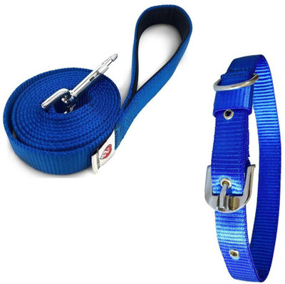 Furious3D Dog Collar & Leash(, Blue