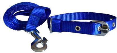 Furious3D Dog Collar & Leash(, BLUE
