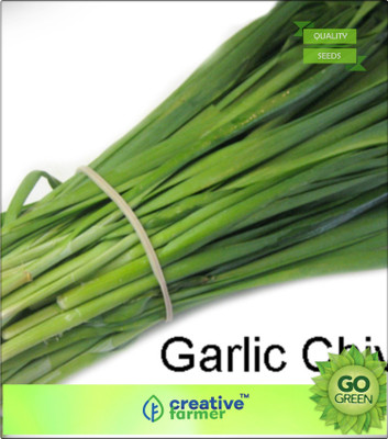 Creative Farmer Oriental Garlic Seed(20 per packet)