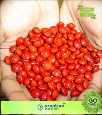 Creative Farmer Lucky Beads Red Sandalwood - Adenanthera Polita 100 Seeds Seeds For Farming Seed(20 per packet)
Creative Farmer Lucky Beads Red Sandalwood - Adenanthera Polita 100 Seeds Seeds For Farming Seed(20 per packet)