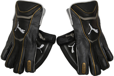 Puma EVO SE Wicket Keeper glove Wicket Keeping Gloves (M, Black)