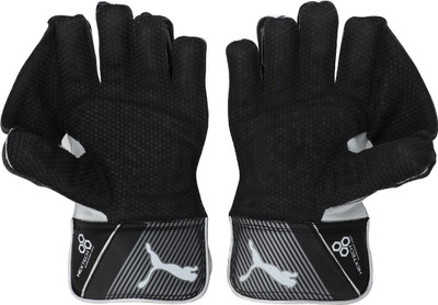 Puma EVO SE Wicket Keeper glove Wicket Keeping Gloves (, Black