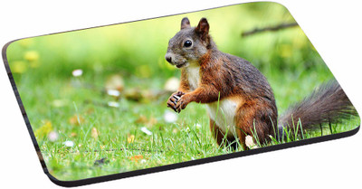 PRINTHUBS Painting Designer | Printed Mouse Pad | High Quality Waterproof Coating Gaming Mouse Pad (Multicolor) -216 Mousepad(Multicolor)
PRINTHUBS Painting Designer | Printed Mouse Pad | High Quality Waterproof Coating Gaming Mouse Pad (Multicolor) -216 Mousepad(Multicolor)