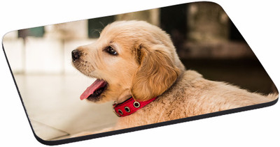 PRINTHUBS Painting Designer | Printed Mouse Pad | High Quality Waterproof Coating Gaming Mouse Pad (Multicolor) -230 Mousepad(Multicolor)
PRINTHUBS Painting Designer | Printed Mouse Pad | High Quality Waterproof Coating Gaming Mouse Pad (Multicolor) -230 Mousepad(Multicolor)
