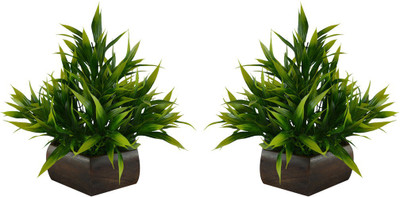 Fancymart FP-S20235-889 Green Wild Flower Artificial Flower with Pot(8 inch, Pack of 2)
Fancymart FP-S20235-889 Green Wild Flower Artificial Flower with Pot(8 inch, Pack of 2)