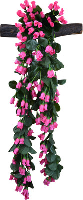Fancymart Indoor/Outdoor Flower Hanging (size 12 inchs/30 cms) Attached with Natural wood Branch Pink Wild Flower Artificial Flower(32 inch, Pack of 1)
Fancymart Indoor/Outdoor Flower Hanging (size 12 inchs/30 cms) Attached with Natural wood Branch Pink Wild Flower Artificial Flower(32 inch, Pack of 1)