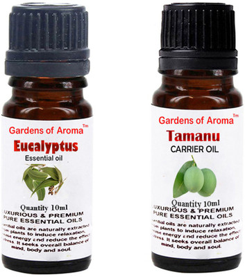Gardens Of Aroma Eucalyptus Essential Oil And Tamanu Carrier Oil(20 ml)