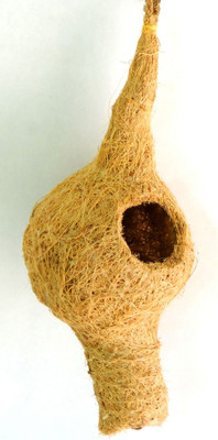 ZENRISE Weaver replica coir Bird House(Hanging)