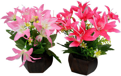 Fancymart FP-0280-453 Multicolor Wild Flower Artificial Flower with Pot(4.5 inch, Pack of 2)
Fancymart FP-0280-453 Multicolor Wild Flower Artificial Flower with Pot(4.5 inch, Pack of 2)