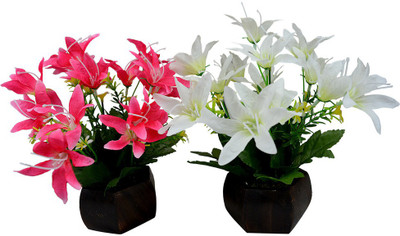 Fancymart FP-0290-460 Multicolor Wild Flower Artificial Flower with Pot(4.5 inch, Pack of 2)
Fancymart FP-0290-460 Multicolor Wild Flower Artificial Flower with Pot(4.5 inch, Pack of 2)