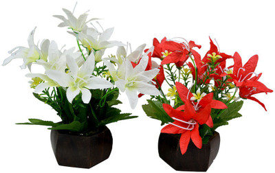 Fancymart FP-0295-463 Multicolor Wild Flower Artificial Flower with Pot(4.5 inch, Pack of 2)
Fancymart FP-0295-463 Multicolor Wild Flower Artificial Flower with Pot(4.5 inch, Pack of 2)