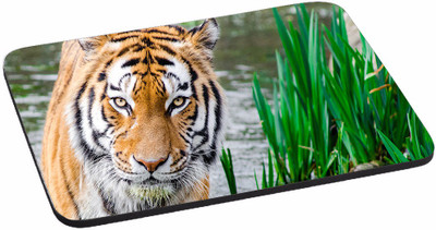 PRINTHUBS Painting Designer | Printed Mouse Pad | High Quality Waterproof Coating Gaming Mouse Pad (Multicolor) -277 Mousepad(Multicolor)
PRINTHUBS Painting Designer | Printed Mouse Pad | High Quality Waterproof Coating Gaming Mouse Pad (Multicolor) -277 Mousepad(Multicolor)