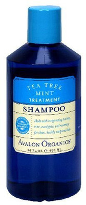 Jitonrad Avalon OrganiShampoo Tea Tree Mint Treatment(414.03 ml)