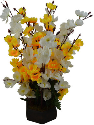 Fancymart FP-0843-665 Multicolor Wild Flower Artificial Flower with Pot(7 inch, Pack of 1)
Fancymart FP-0843-665 Multicolor Wild Flower Artificial Flower with Pot(7 inch, Pack of 1)