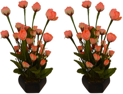 Fancymart FP-0773-603 Multicolor Rose Artificial Flower with Pot(5 inch, Pack of 2)
Fancymart FP-0773-603 Multicolor Rose Artificial Flower with Pot(5 inch, Pack of 2)